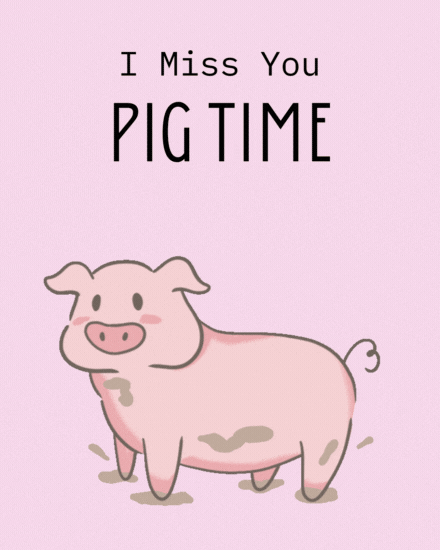 Pig Time Pig Time