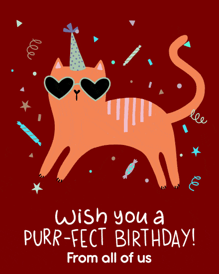 cat wearing sunglasses