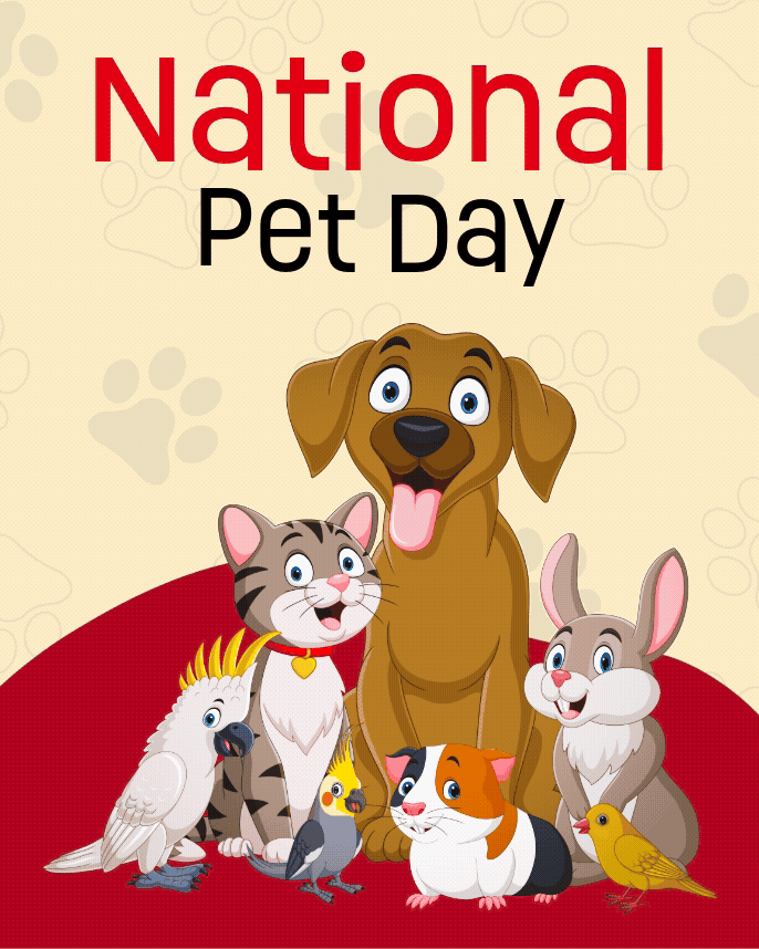 Happy Pet Moments Happy Pet Moments