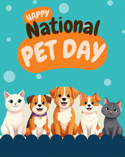 Cute Pet Squad Cute Pet Squad